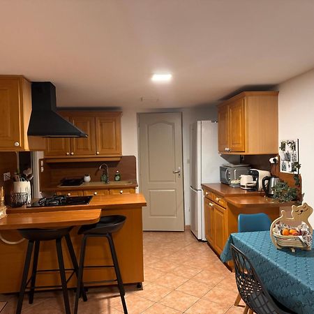 Au Calme Dans Maison En Rez De Jardin A 2,2 Kms Du Groupama Stadium Et Salle Ldlc Arena Мейзьє Екстер'єр фото