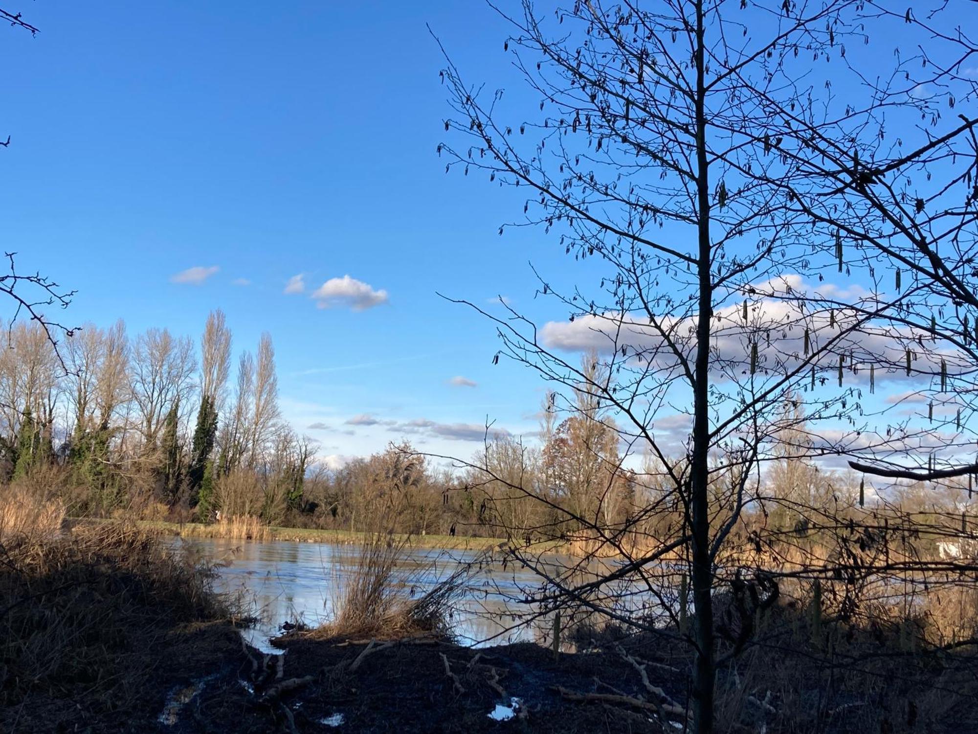 Au Calme Dans Maison En Rez De Jardin A 2,2 Kms Du Groupama Stadium Et Salle Ldlc Arena Мейзьє Екстер'єр фото